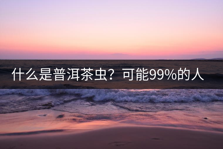 什么是普洱茶蟲?可能99%的人都不知道 什么是普洱茶蟲?可能99%的人都不知道