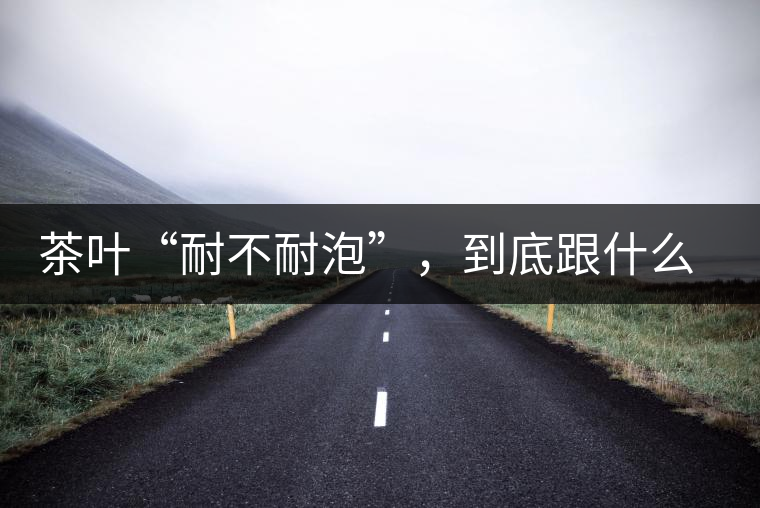 茶葉“耐不耐泡”,到底跟什么有關? 茶葉“耐不耐泡”,到底跟什么有關?