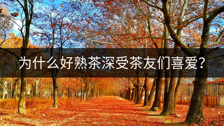為什么好熟茶深受茶友們喜愛？