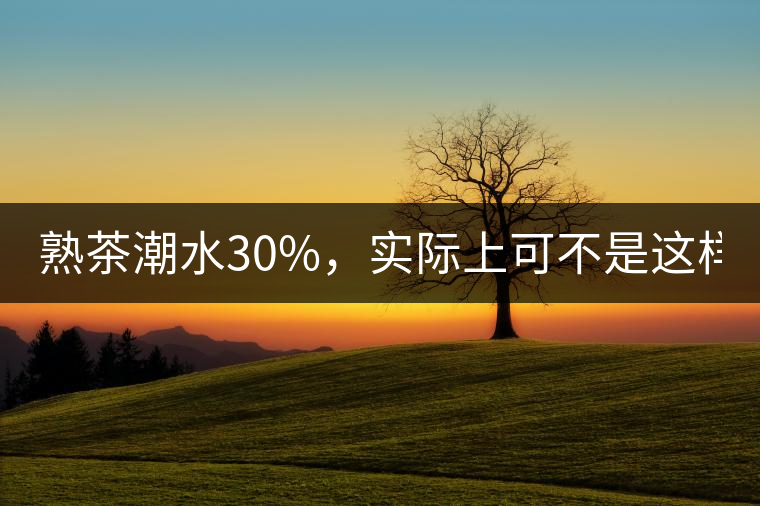 熟茶潮水30%,實際上可不是這樣! 熟茶潮水30%,實際上可不是這樣!