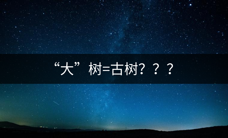 “大”樹=古樹??? “大”樹=古樹???