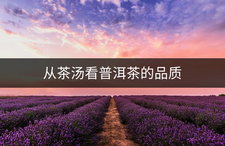 從茶湯看普洱茶的品質