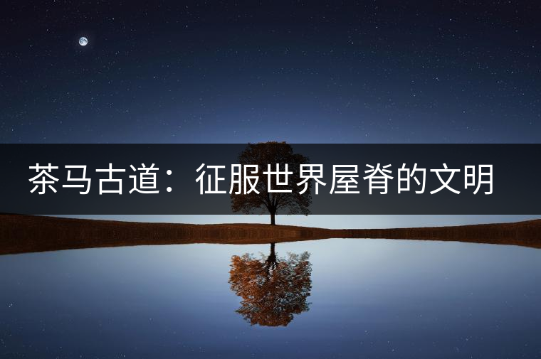 茶馬古道：征服世界屋脊的文明通道