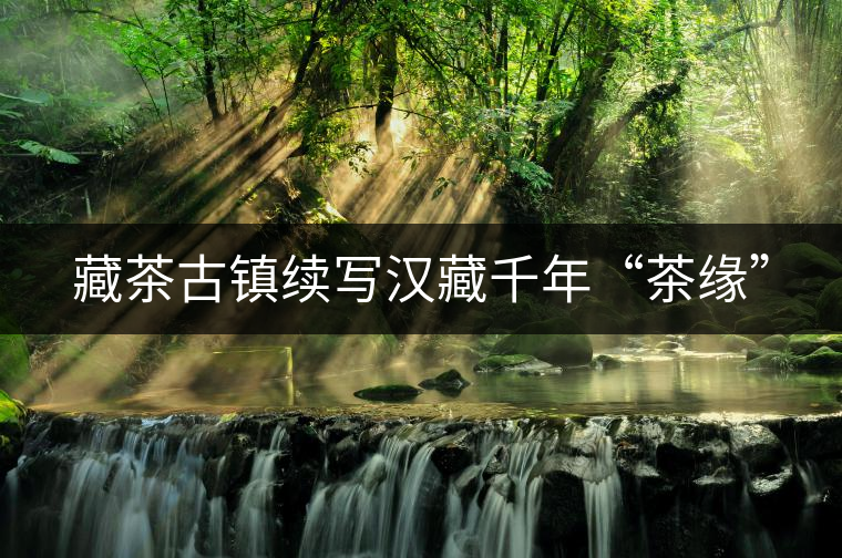 藏茶古鎮續寫漢藏千年“茶緣”