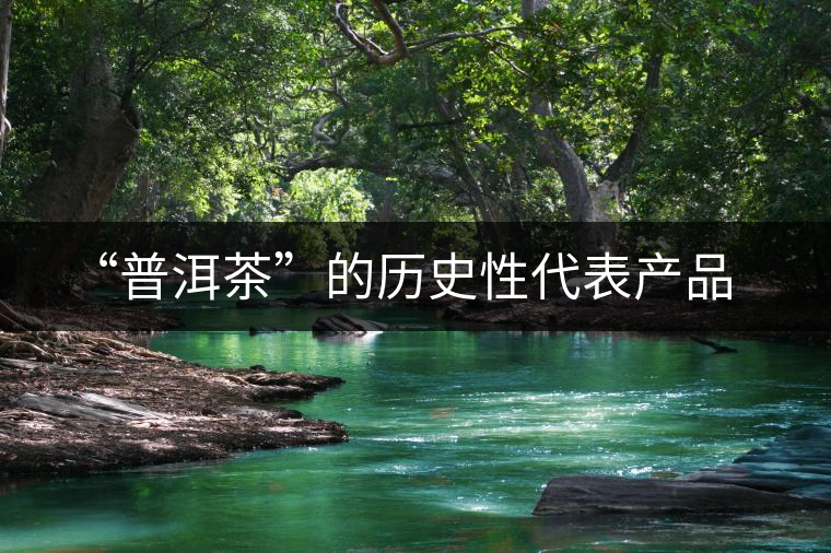 “普洱茶”的歷史性代表產品 “普洱茶”的歷史性代表產品