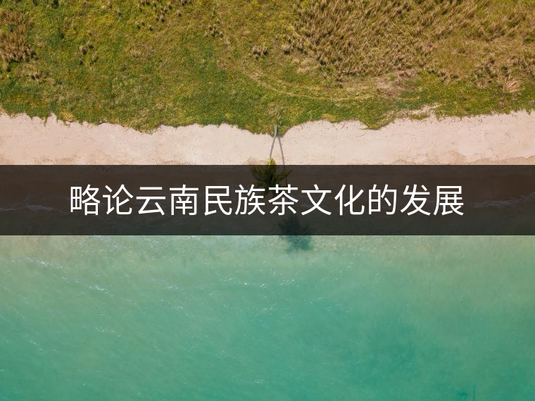 略論云南民族茶文化的發展 略論云南民族茶文化的發展