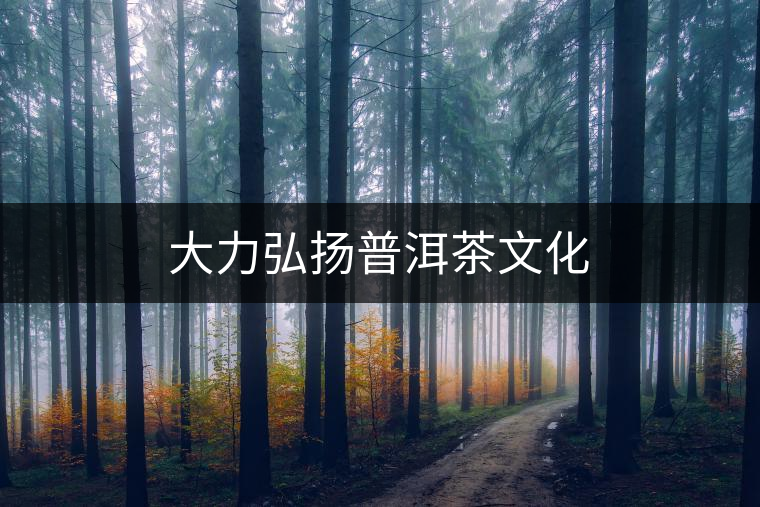 大力弘揚普洱茶文化