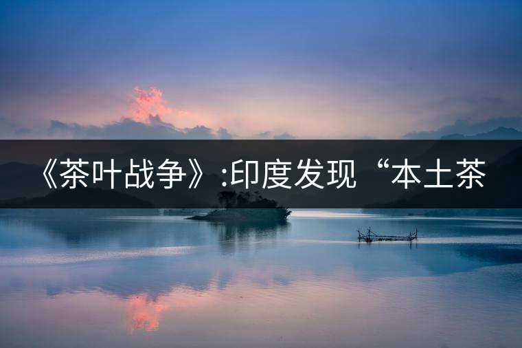 《茶葉戰爭》:印度發現“本土茶樹” 《茶葉戰爭》:印度發現“本土茶樹”