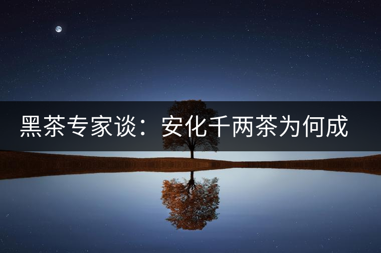 黑茶專家談：安化千兩茶為何成“世界茶王”？