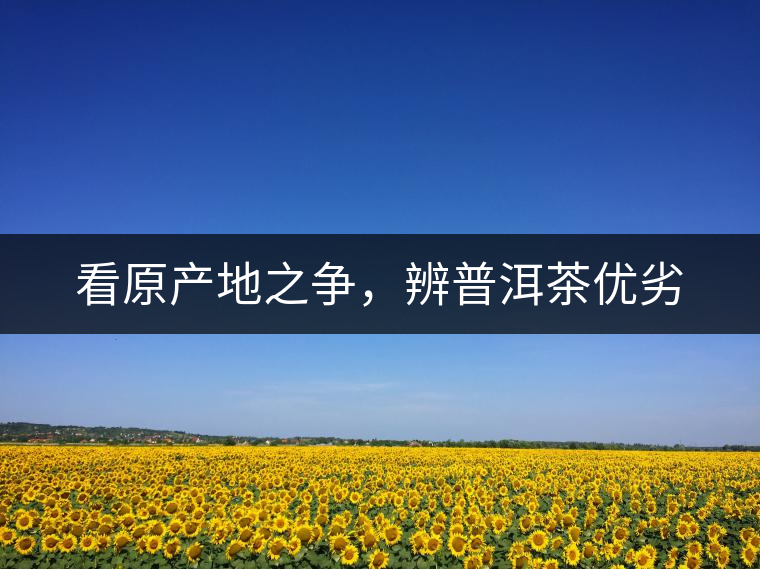 看原產(chǎn)地之爭(zhēng),辨普洱茶優(yōu)劣 看原產(chǎn)地之爭(zhēng),辨普洱茶優(yōu)劣