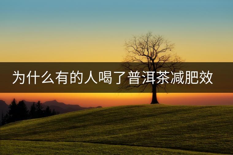 為什么有的人喝了普洱茶減肥效果不明顯呢? 為什么有的人喝了普洱茶減肥效果不明顯呢?