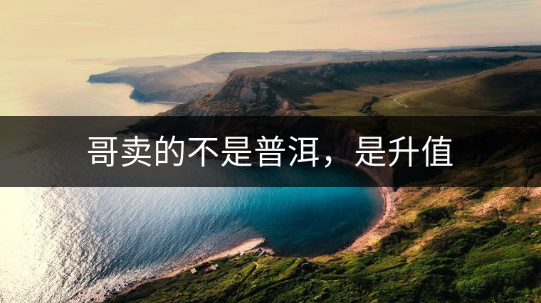 哥賣的不是普洱,是升值 哥賣的不是普洱,是升值
