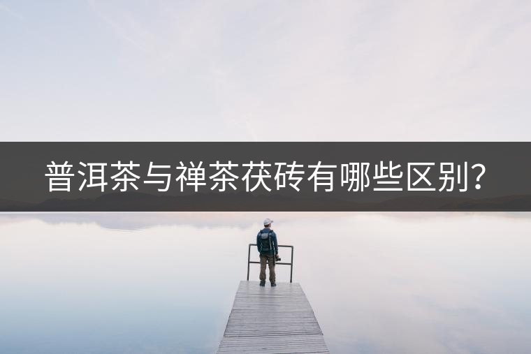 普洱茶與禪茶茯磚有哪些區別? 普洱茶與禪茶茯磚有哪些區別?