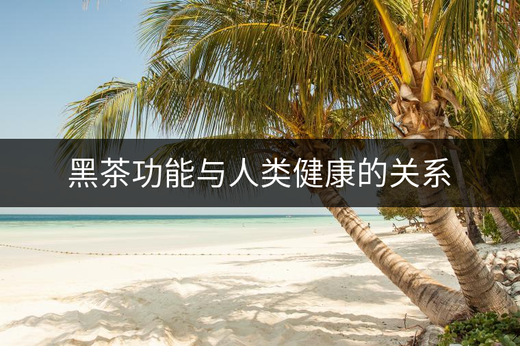 黑茶功能與人類健康的關系