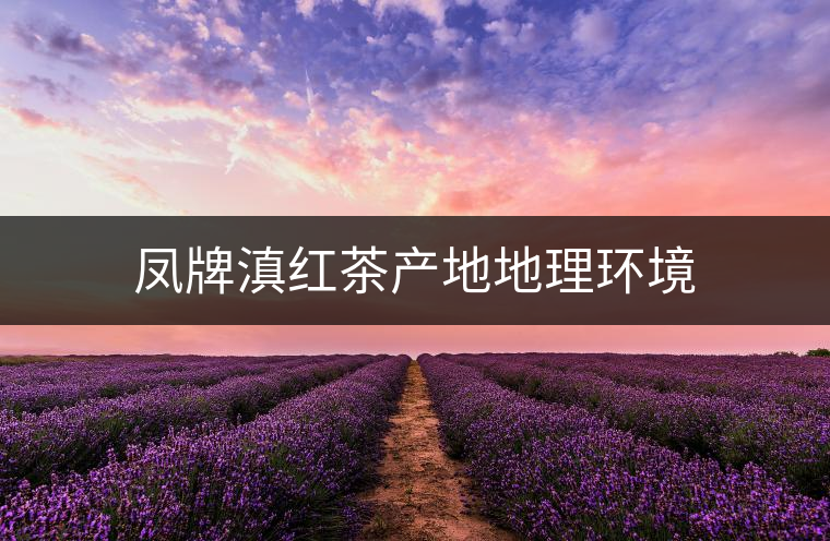鳳牌滇紅茶產地地理環境 鳳牌滇紅茶產地地理環境
