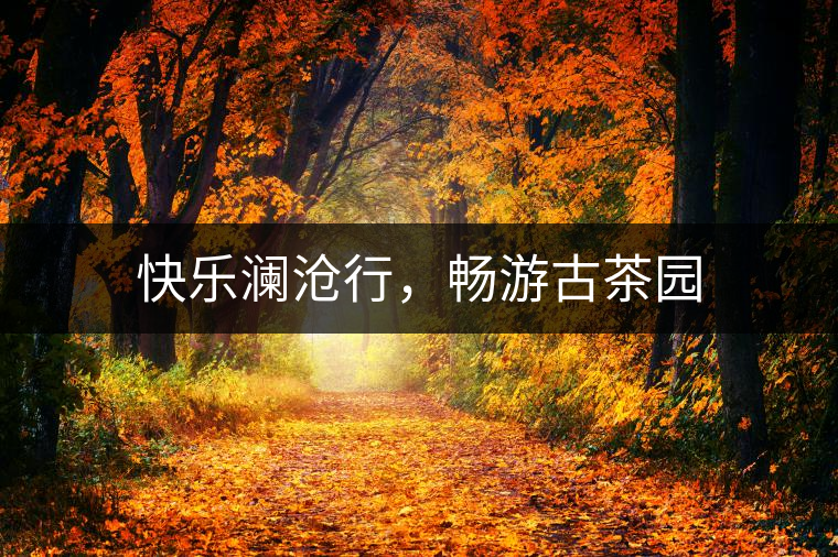 快樂瀾滄行，暢游古茶園