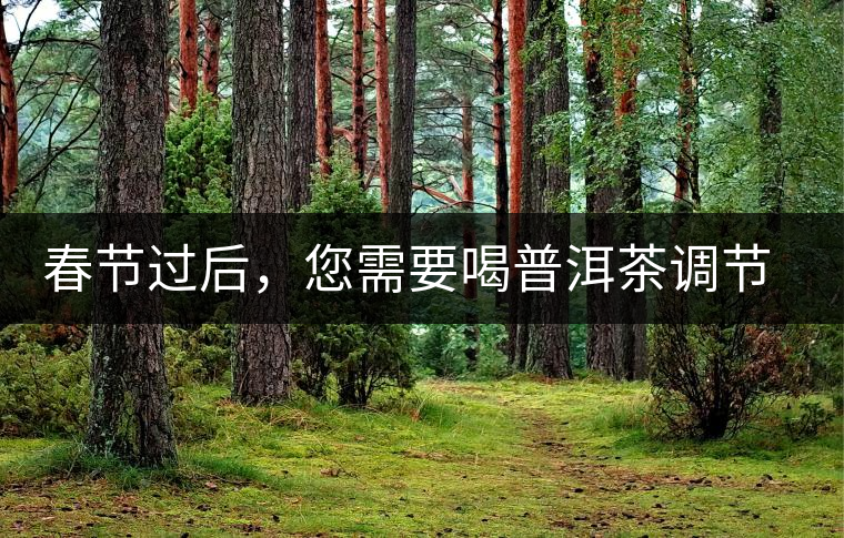 春節過后,您需要喝普洱茶調節身體 春節過后,您需要喝普洱茶調節身體