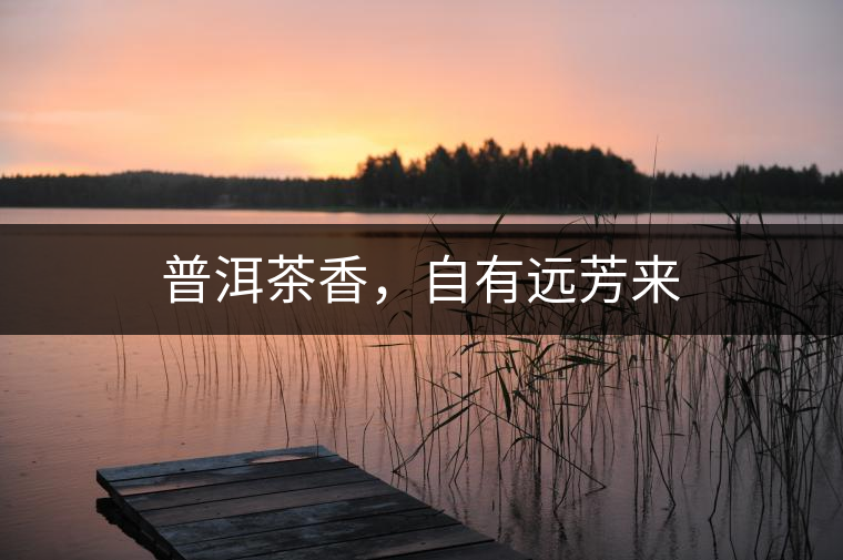 普洱茶香,自有遠芳來 普洱茶香,自有遠芳來