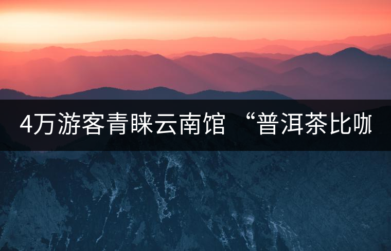 4萬(wàn)游客青睞云南館 “普洱茶比咖啡good” 4萬(wàn)游客青睞云南館 “普洱茶比咖啡good”