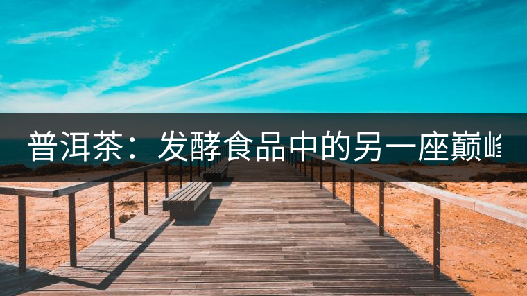 普洱茶：發酵食品中的另一座巔峰(下)