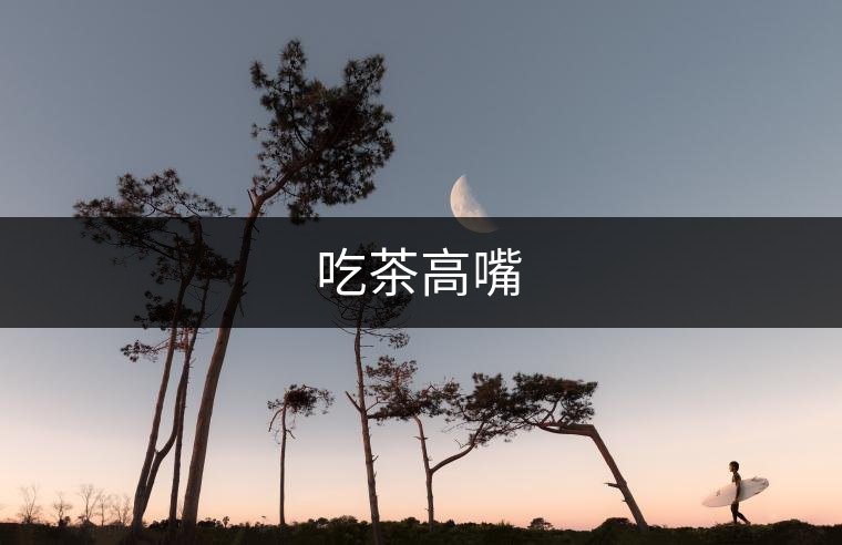 吃茶高嘴