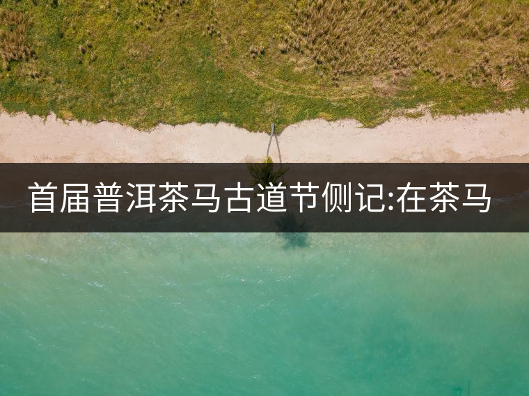 首屆普洱茶馬古道節側記:在茶馬古道起始的地方