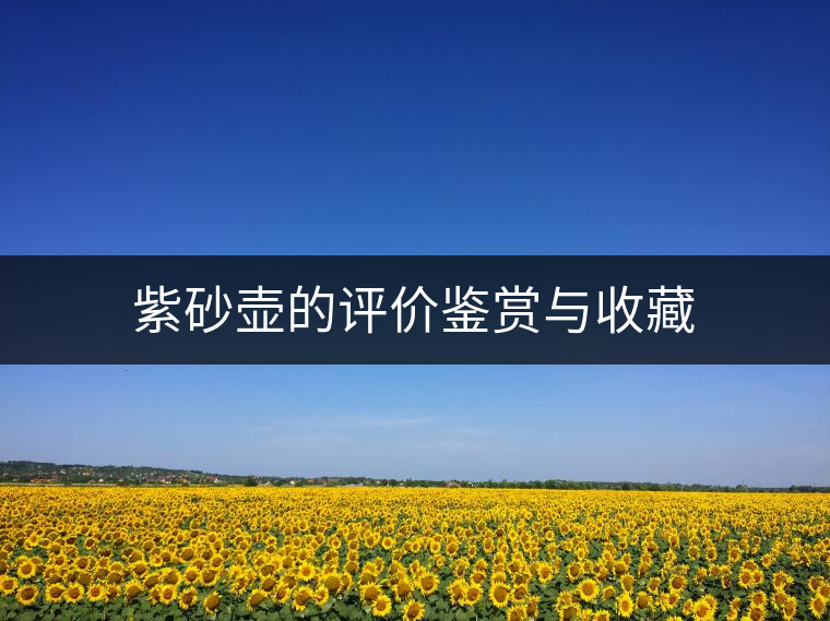 紫砂壺的評價(jià)鑒賞與收藏 紫砂壺的評價(jià)鑒賞與收藏