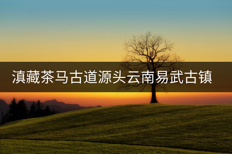 滇藏茶馬古道源頭云南易武古鎮風土人情 滇藏茶馬古道源頭云南易武古鎮風土人情