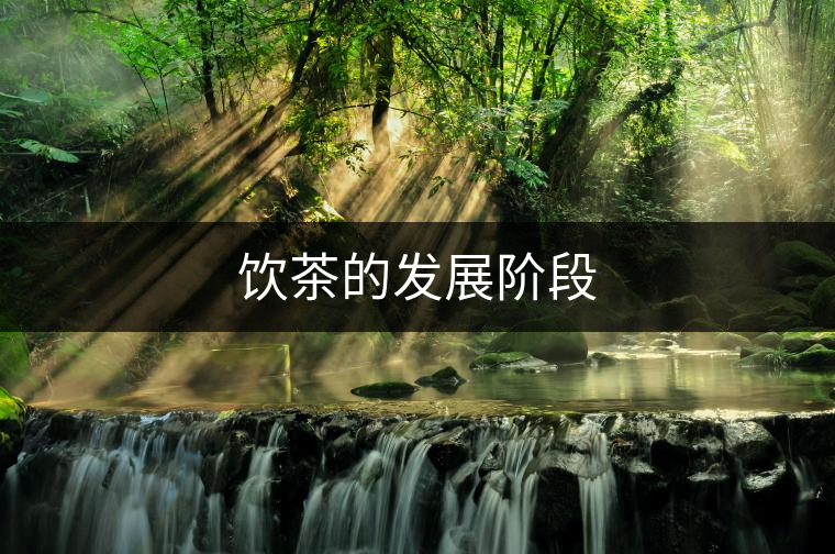 飲茶的發展階段