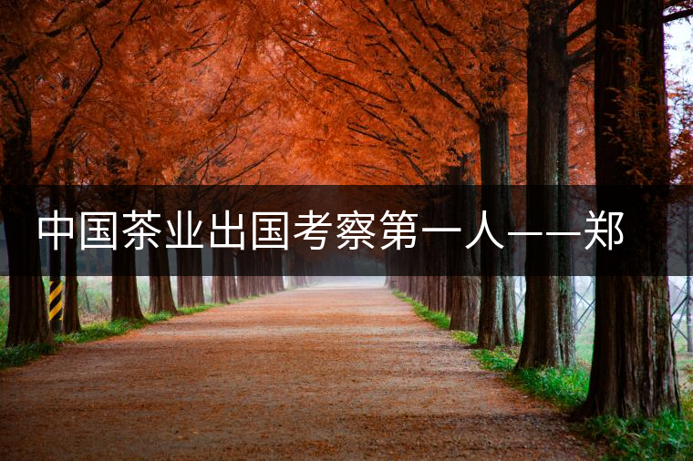 中國茶業出國考察第一人——鄭世璜 中國茶業出國考察第一人——鄭世璜