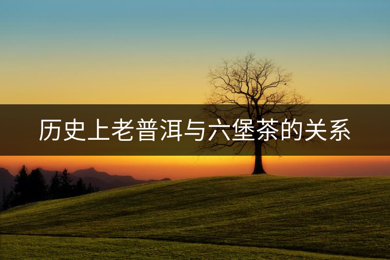 歷史上老普洱與六堡茶的關系 歷史上老普洱與六堡茶的關系