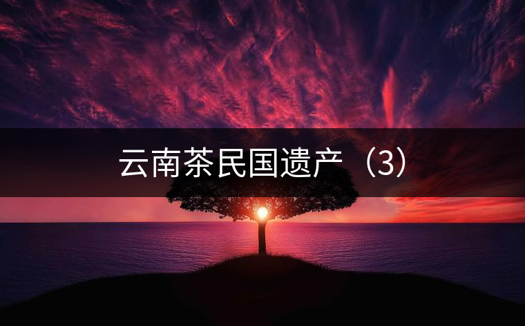 云南茶民國(guó)遺產(chǎn)（3）