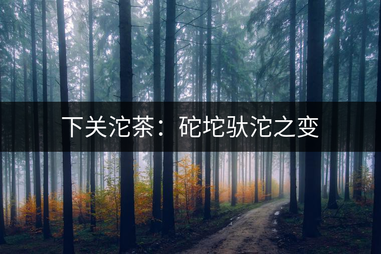 下關沱茶：砣坨馱沱之變