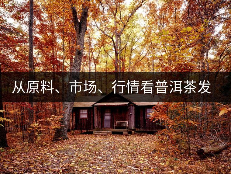 從原料、市場、行情看普洱茶發展大勢