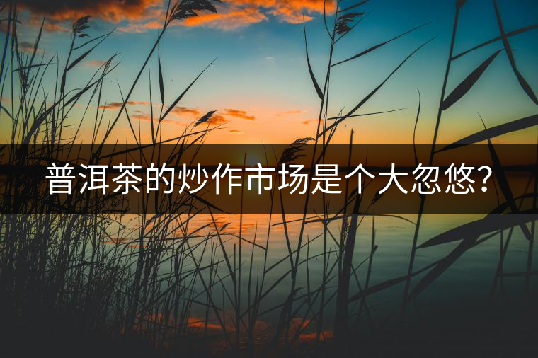 普洱茶的炒作市場是個大忽悠? 普洱茶的炒作市場是個大忽悠?