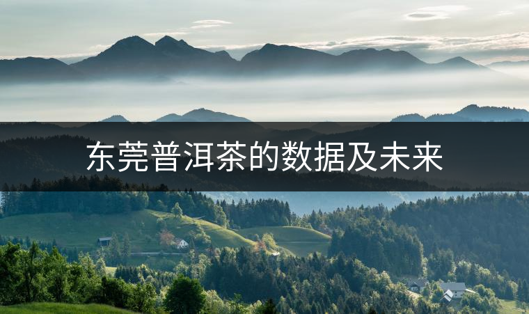 東莞普洱茶的數據及未來 東莞普洱茶的數據及未來