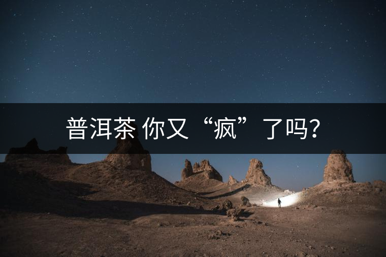 普洱茶 你又“瘋”了嗎？