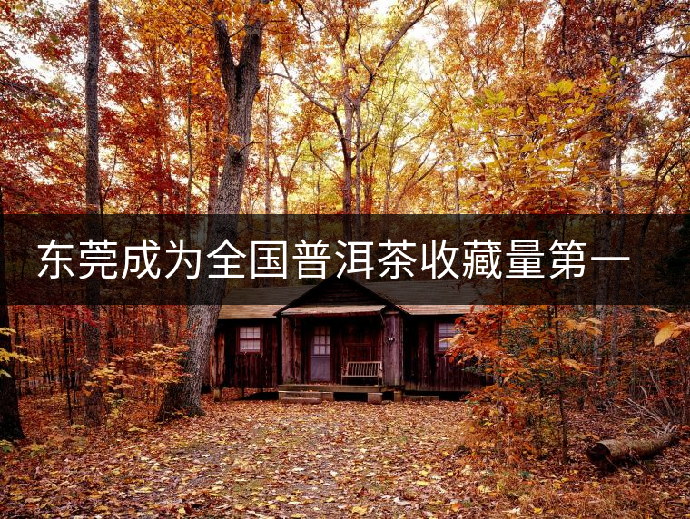 東莞成為全國普洱茶收藏量第一位的城市? 東莞成為全國普洱茶收藏量第一位的城市?