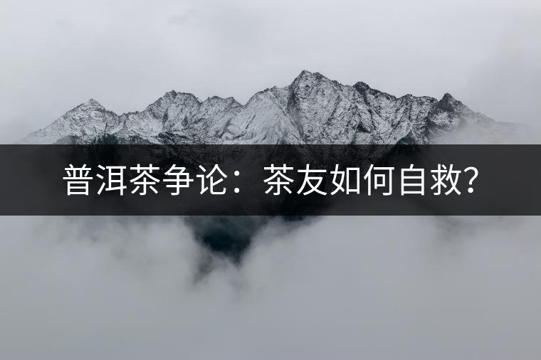 普洱茶爭論：茶友如何自救？