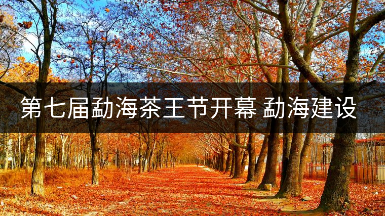 第七屆勐海茶王節(jié)開(kāi)幕 勐海建設(shè)中國(guó)普洱茶第一縣