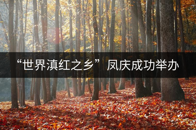 “世界滇紅之鄉”鳳慶成功舉辦茶文化藝術節