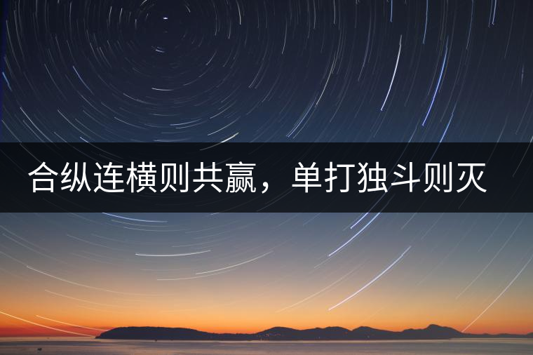 合縱連橫則共贏,單打獨斗則滅亡 合縱連橫則共贏,單打獨斗則滅亡