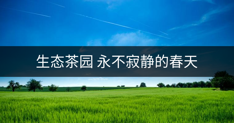 生態茶園 永不寂靜的春天