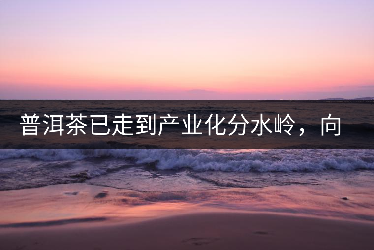 普洱茶已走到產業化分水嶺,向左還是向右? 普洱茶已走到產業化分水嶺,向左還是向右?