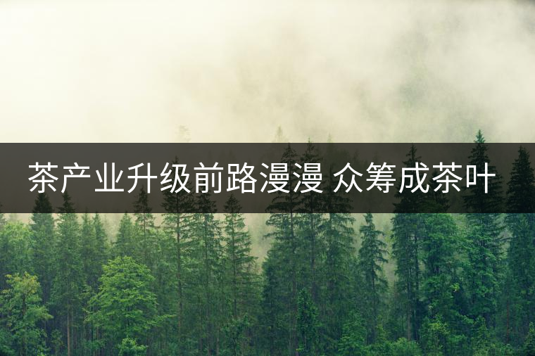 茶產業(yè)升級前路漫漫 眾籌成茶葉營銷新寵 茶產業(yè)升級前路漫漫 眾籌成茶葉營銷新寵
