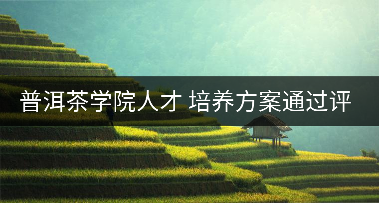 普洱茶學院人才 培養方案通過評審 普洱茶學院人才 培養方案通過評審