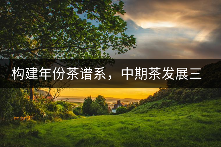 構建年份茶譜系,中期茶發展三部曲(話說中期茶之二) 構建年份茶譜系,中期茶發展三部曲(話說中期茶之二)