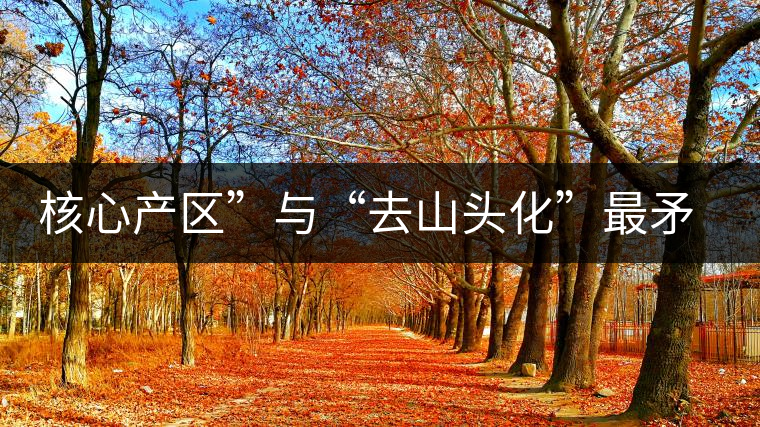 核心產區”與“去山頭化”最矛盾的市場抉擇 核心產區”與“去山頭化”最矛盾的市場抉擇