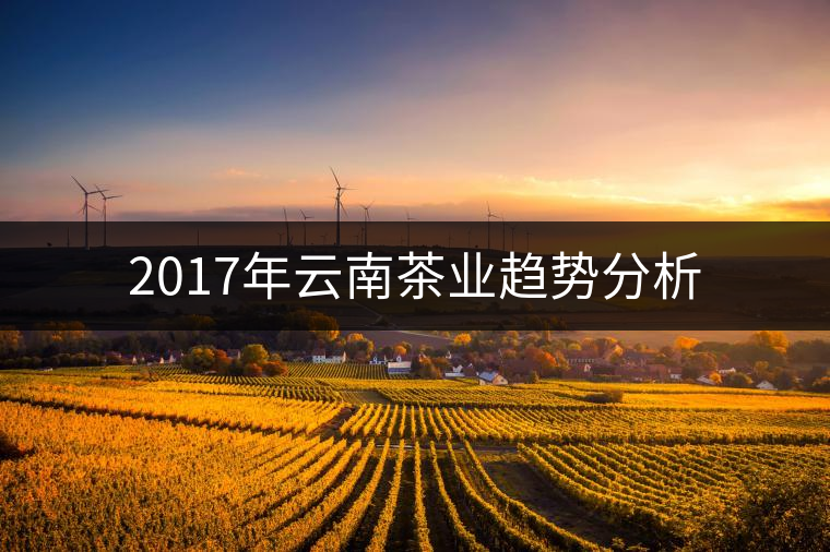 2017年云南茶業趨勢分析 2017年云南茶業趨勢分析