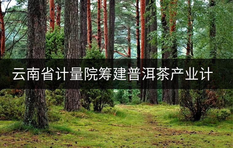 云南省計量院籌建普洱茶產業計量測試中心